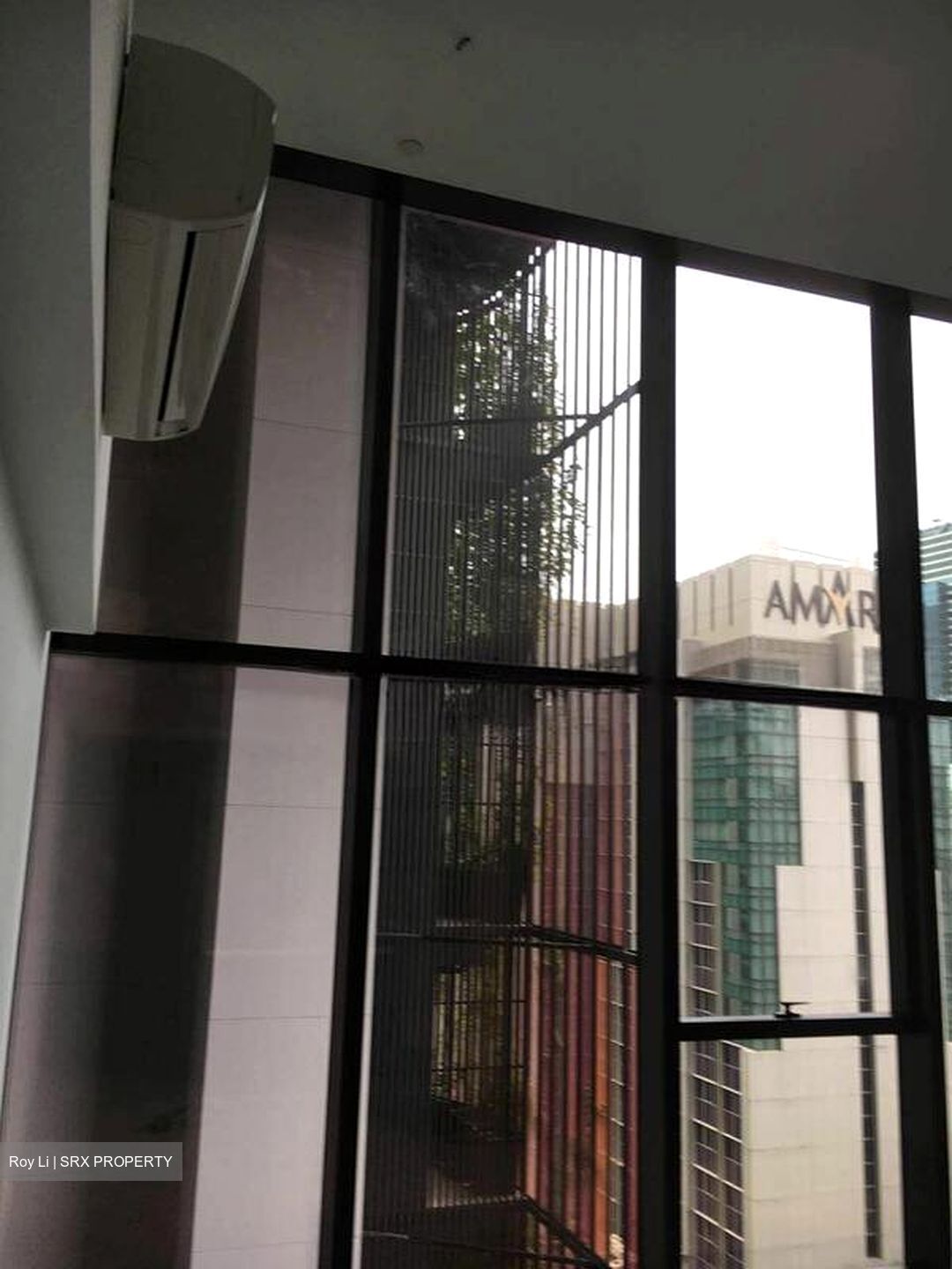 PS100 (D2), Condominium #527808131